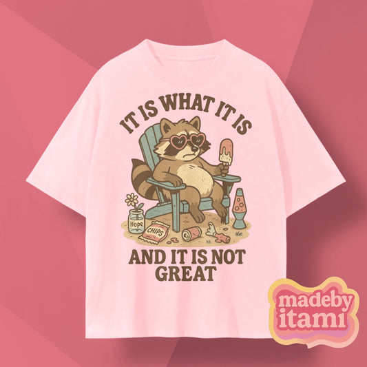 It Is What It Is And It Is Not Great T-Shirt
