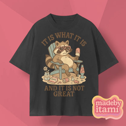 It Is What It Is And It Is Not Great T-Shirt