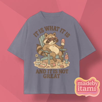 It Is What It Is And It Is Not Great T-Shirt