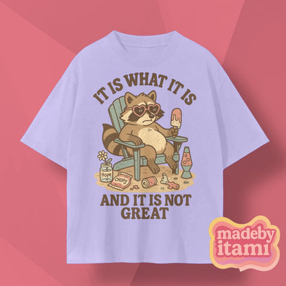 It Is What It Is And It Is Not Great T-Shirt